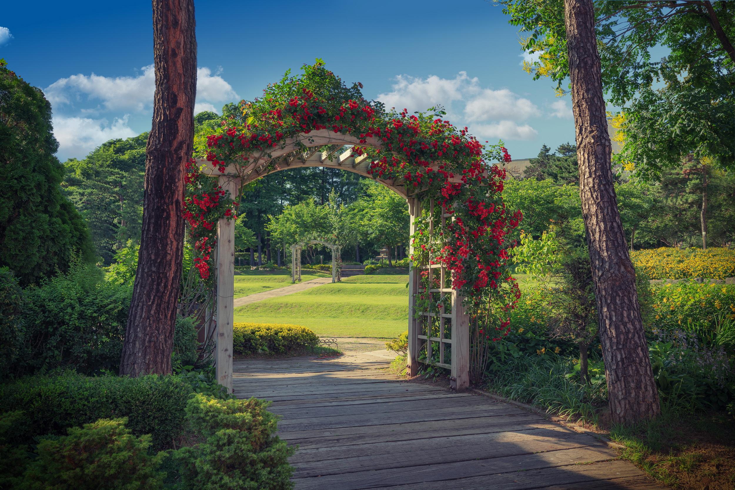 Mayfield Hotel Seoul-14