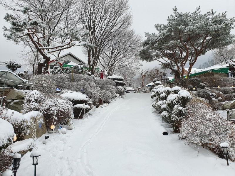 Gapyeong Flower Muji Pension (near the valley)-49