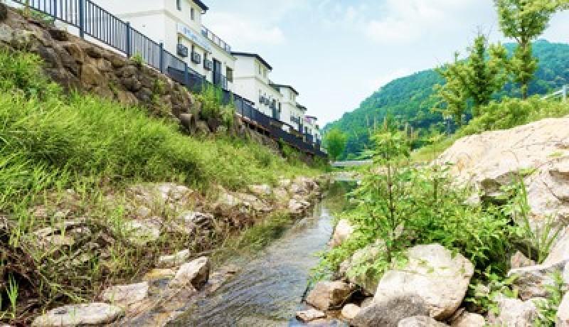 대표 사진