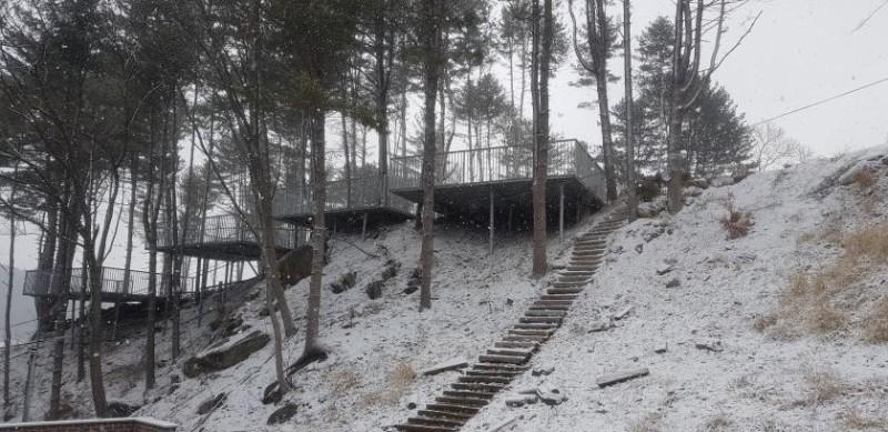 대표 사진