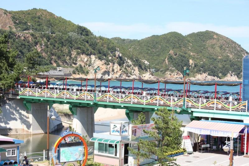대표 사진