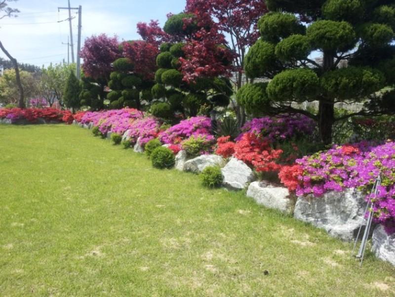 Daebudo Tasha&#39;s Garden Pension-11