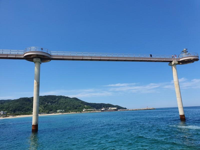 대표 사진