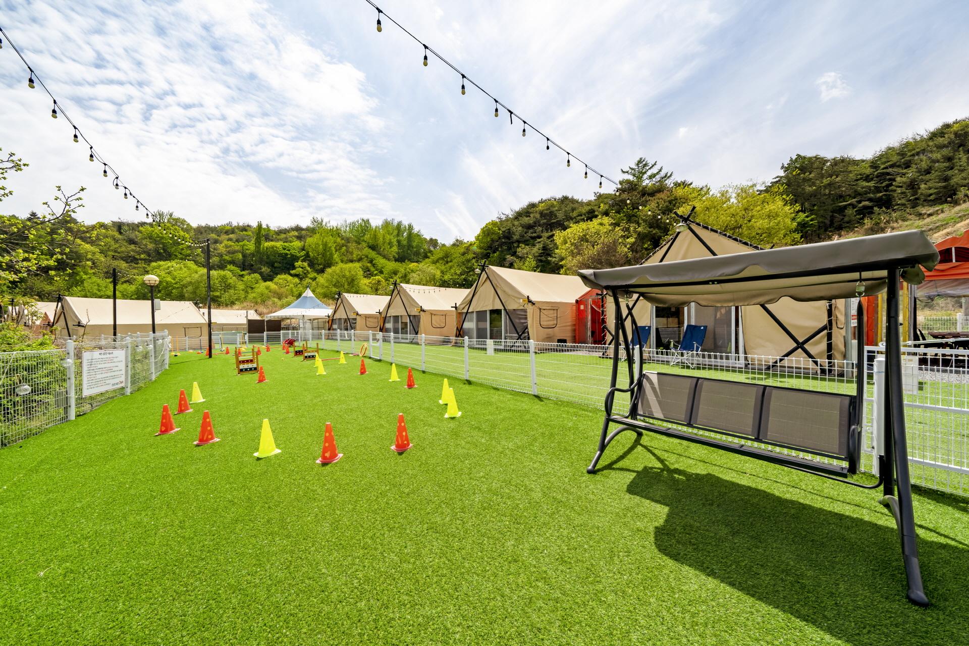 Qingdao is exciting dog glamping