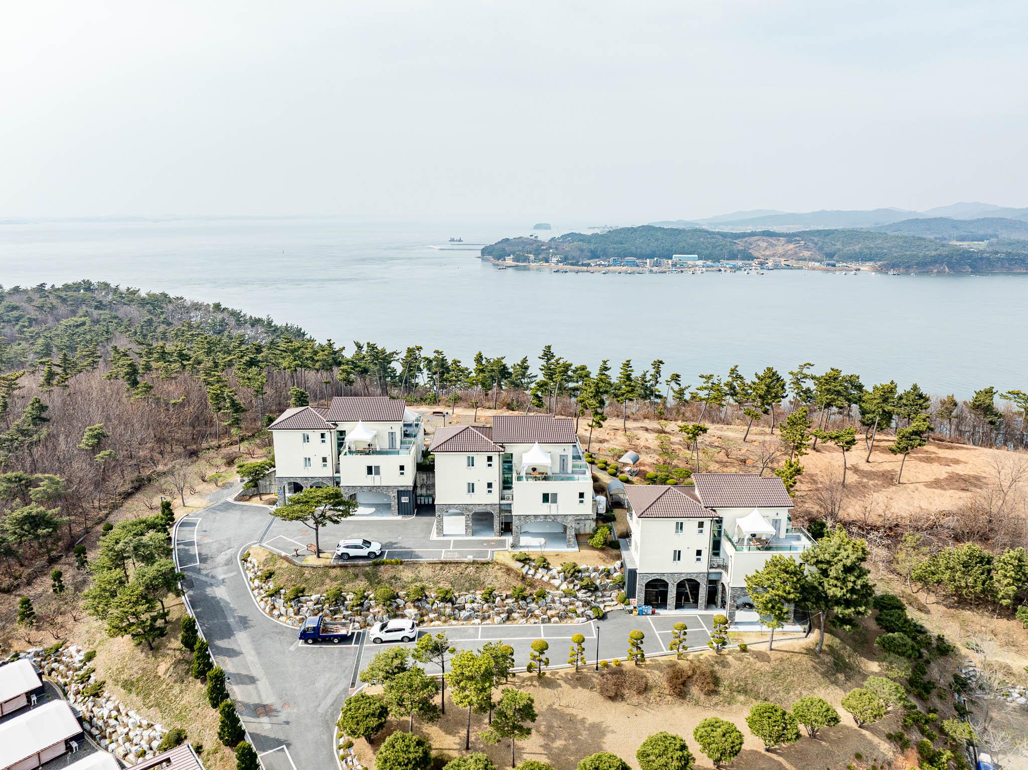 대표 사진