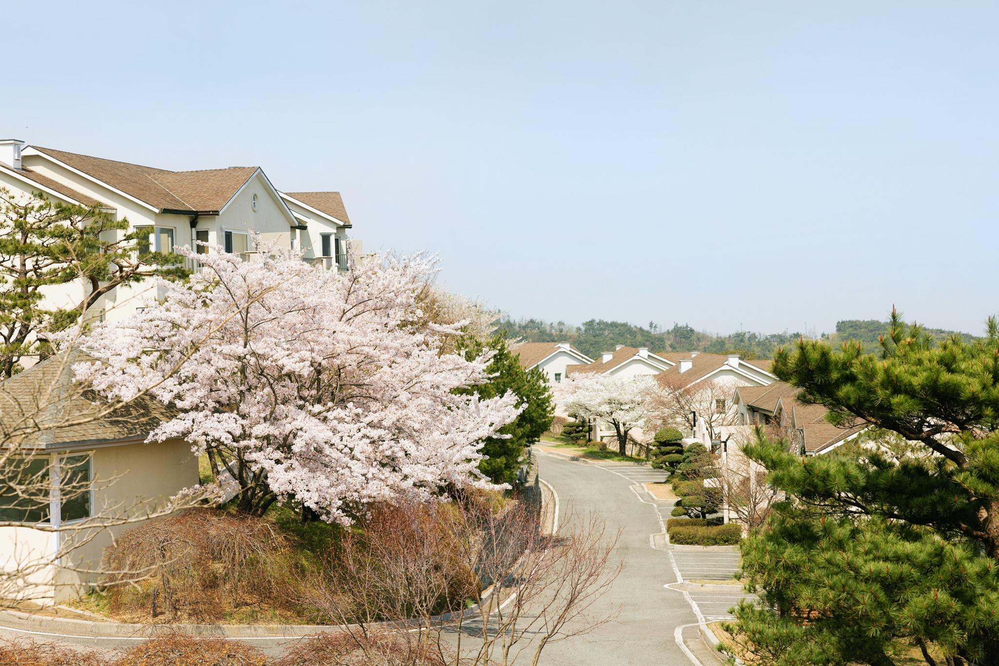 대표 사진
