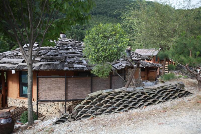 대표 사진