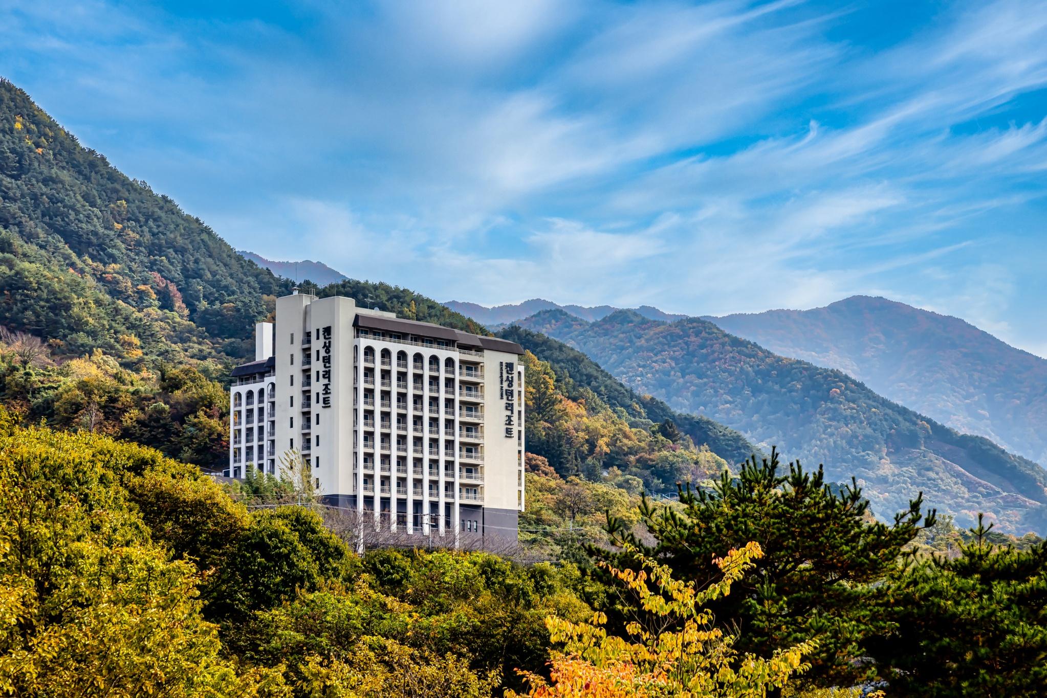 대표 사진