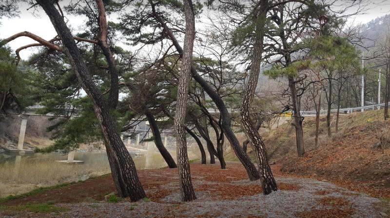 대표 사진