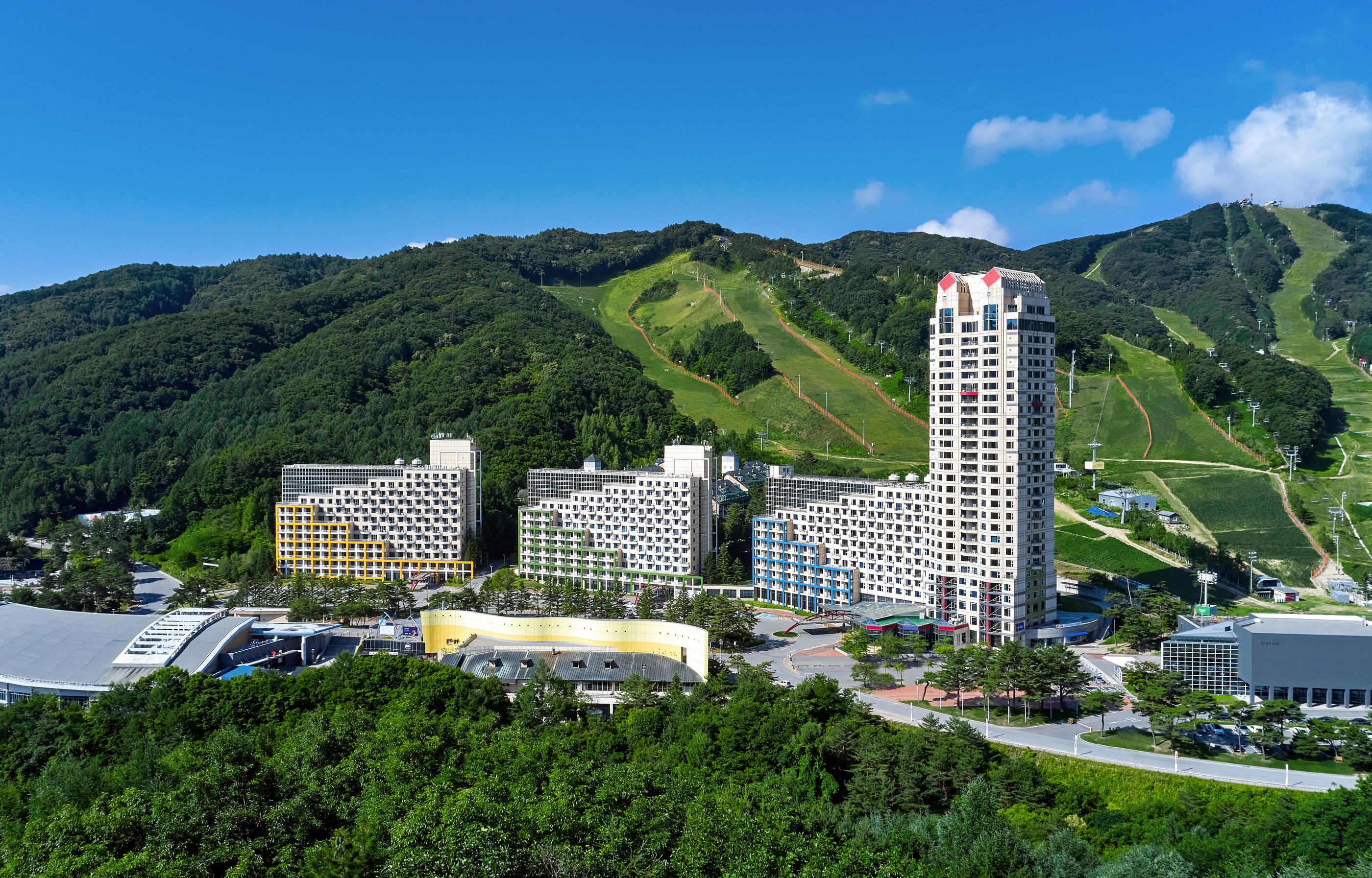 대표 사진