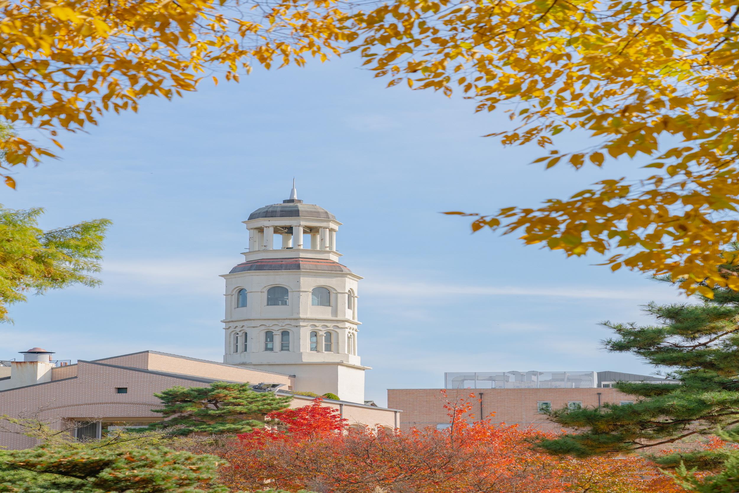 Mayfield Hotel Seoul-8