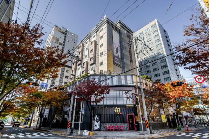 대표 사진