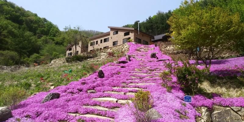 숙소 시설