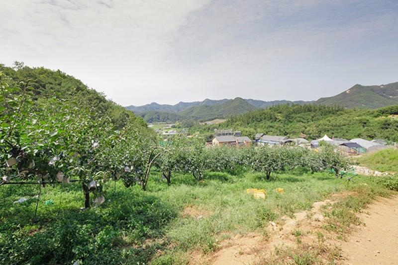 숙소 시설