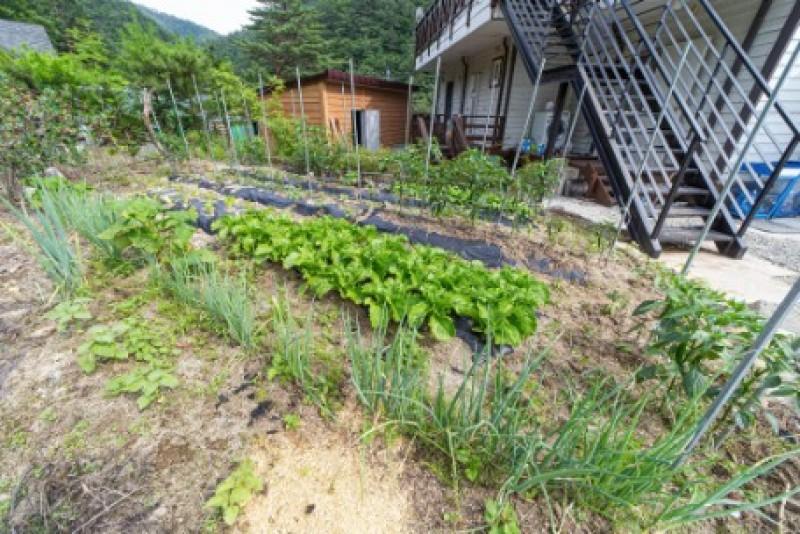 숙소 시설