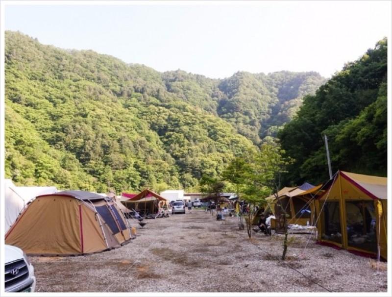 대표 사진