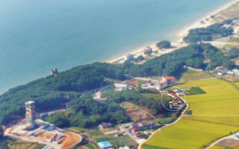 대표 사진