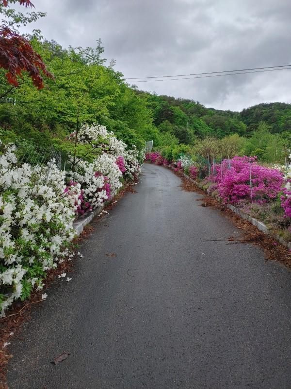 숙소 시설