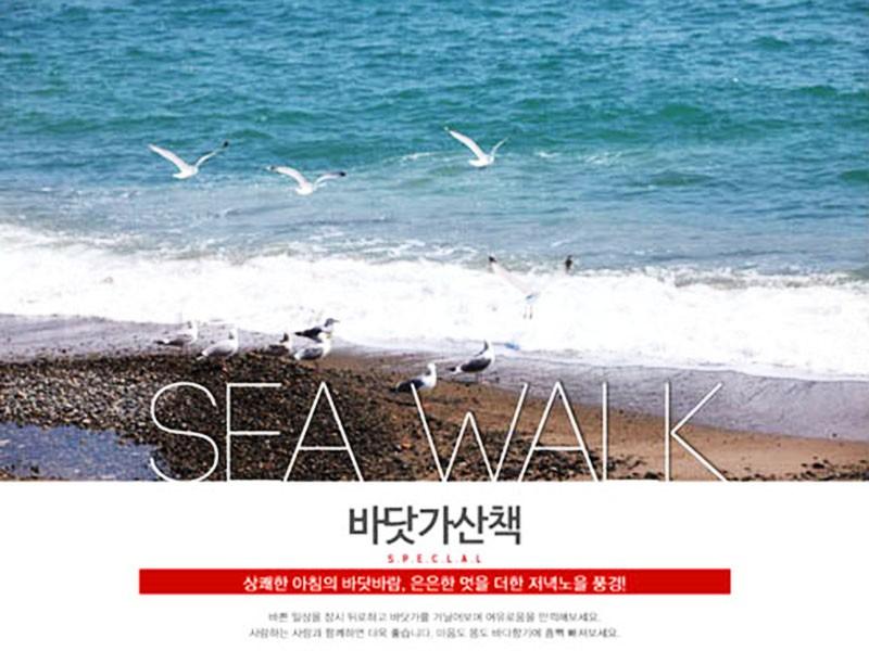 대표 사진