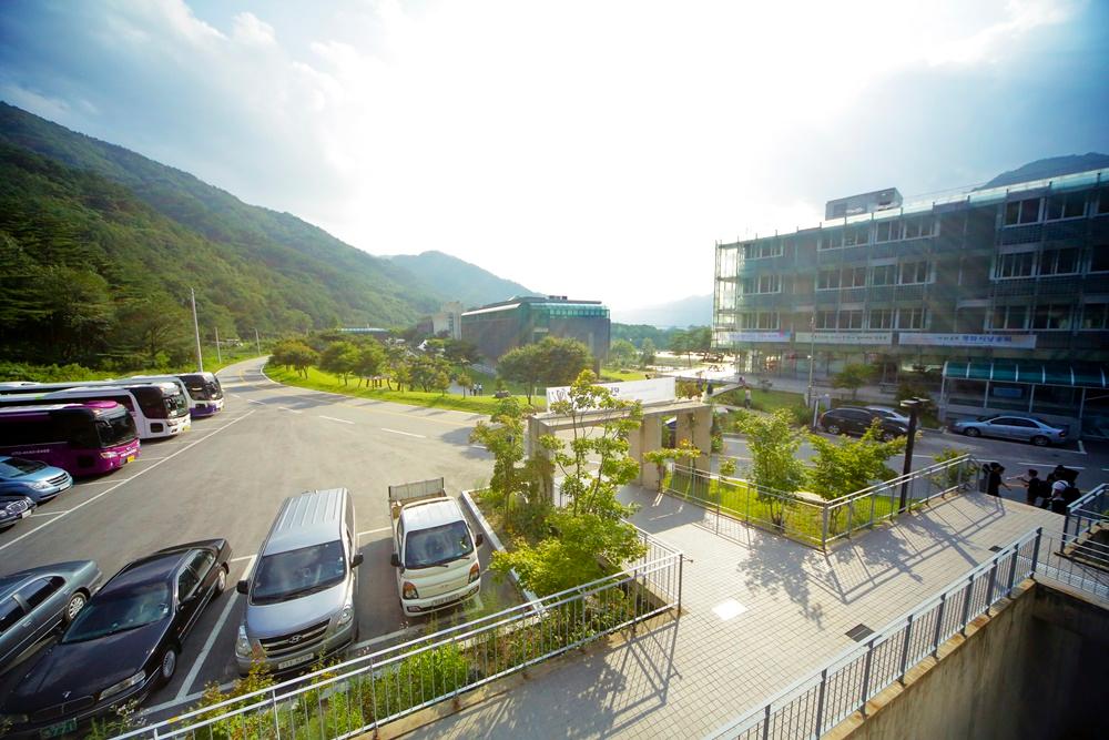 대표 사진