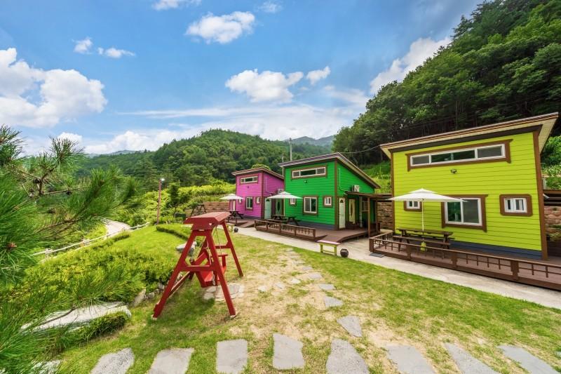 대표 사진