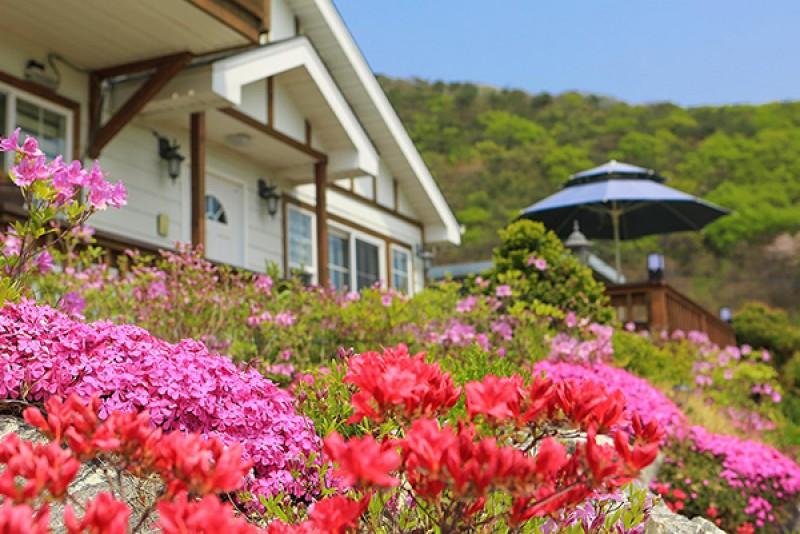 Seokmodo Stella Pension-12