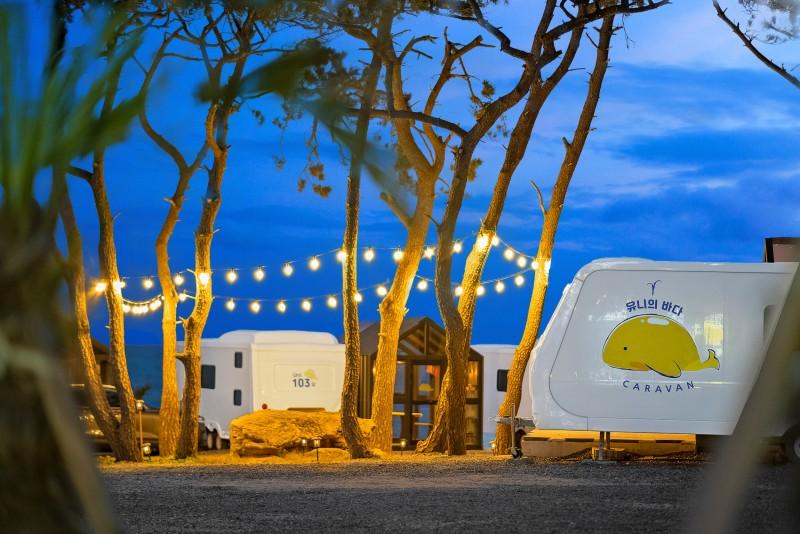 Pohang Uni's Sea Caravan (Homigot Branch)
