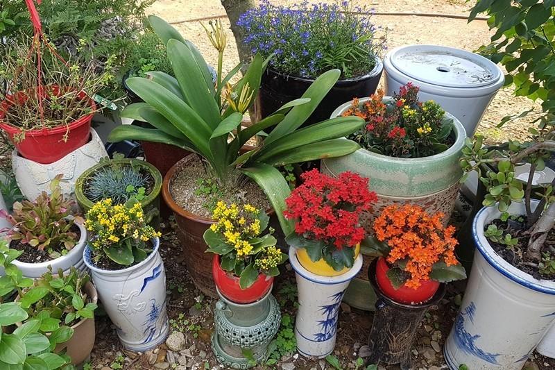 Daebudo (Yeongheungdo) Rural Marubang Pension-25