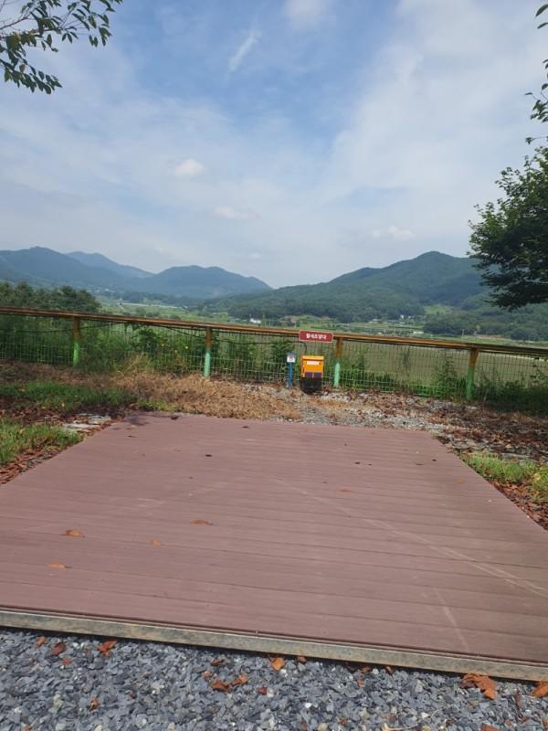 대표 사진
