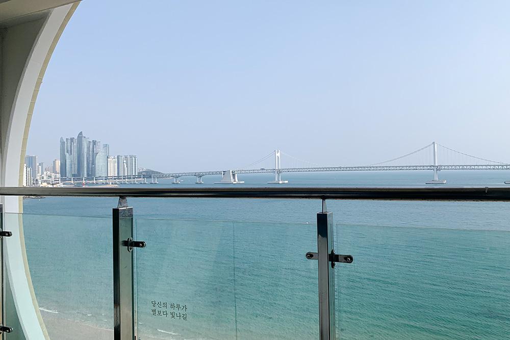 대표 사진