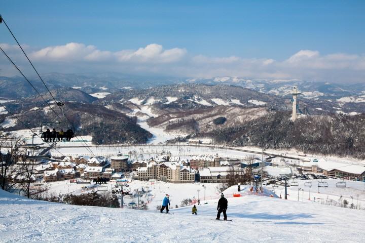 대표 사진
