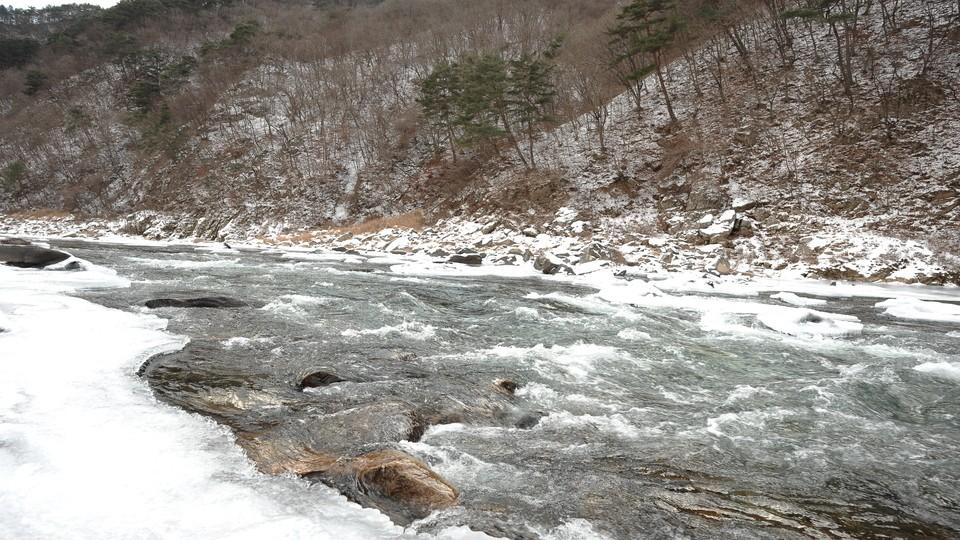 전경
