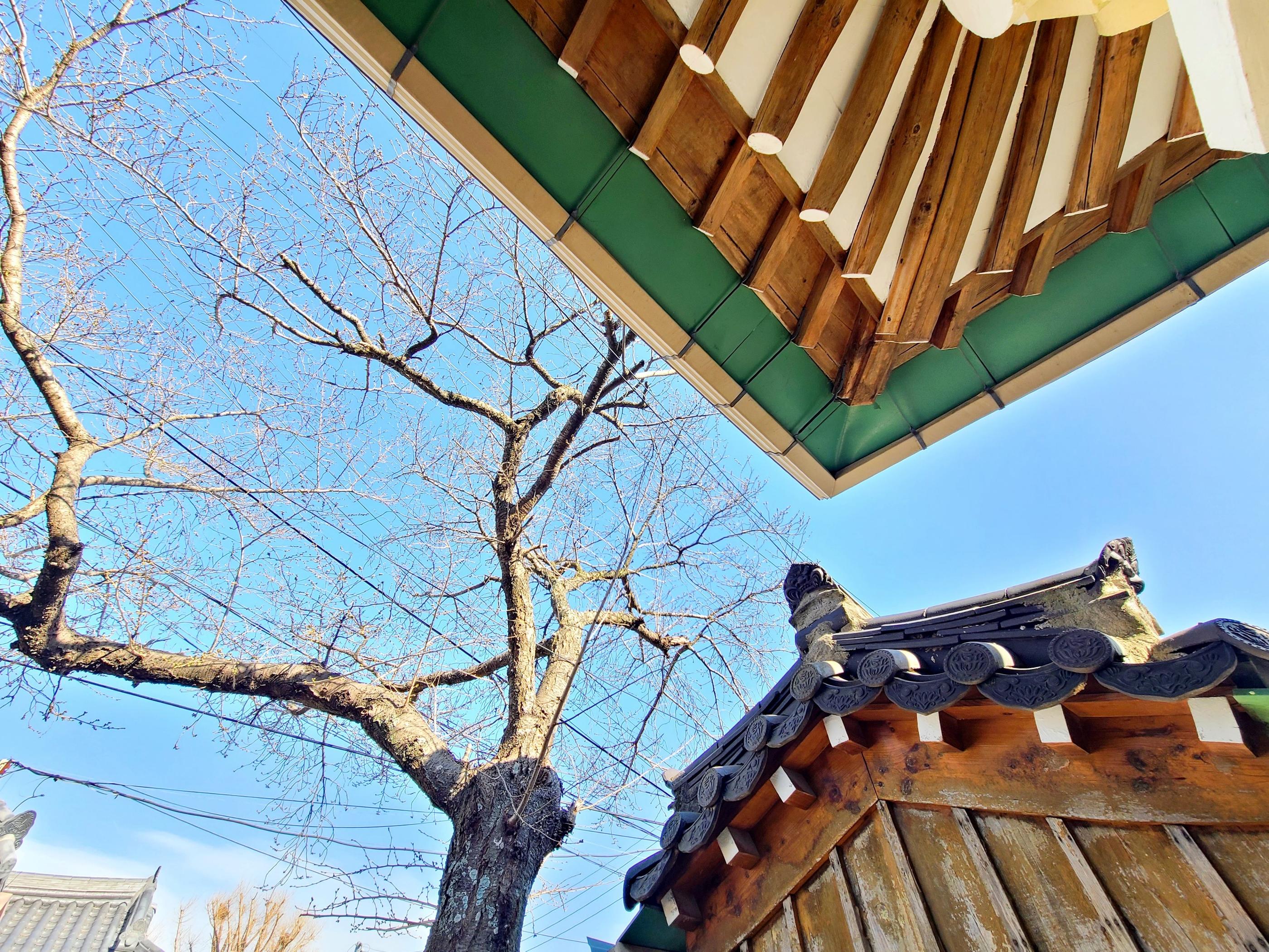 Gyeongju Staybukgun-4