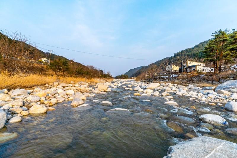 대표 사진