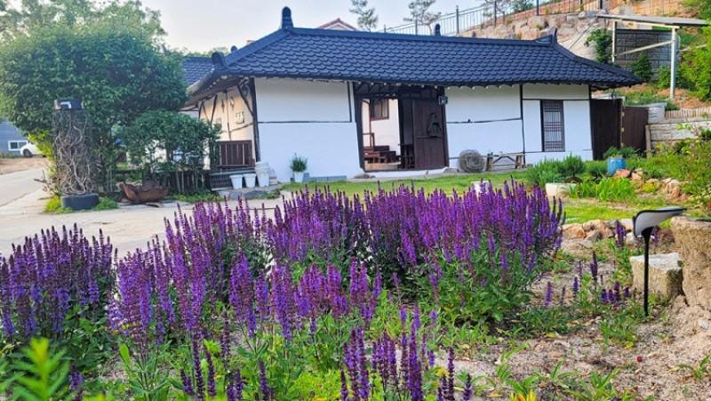 Haru Pension in Paju Hanok-6