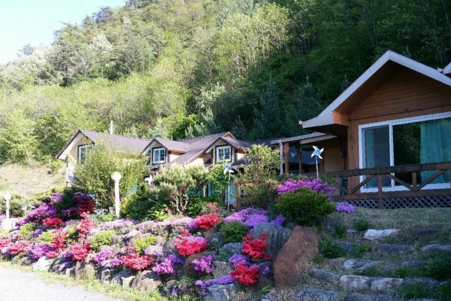 Danyang Gagok Skychae Pension