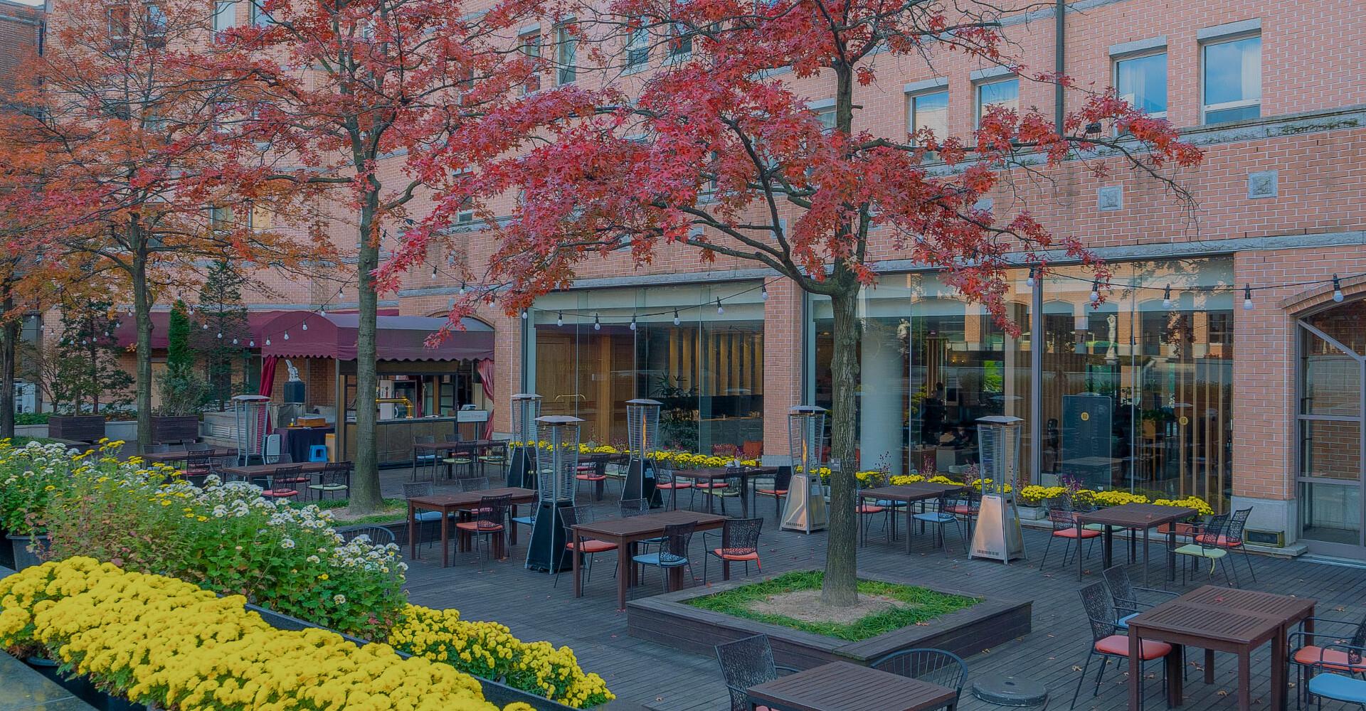 Mayfield Hotel Seoul-20