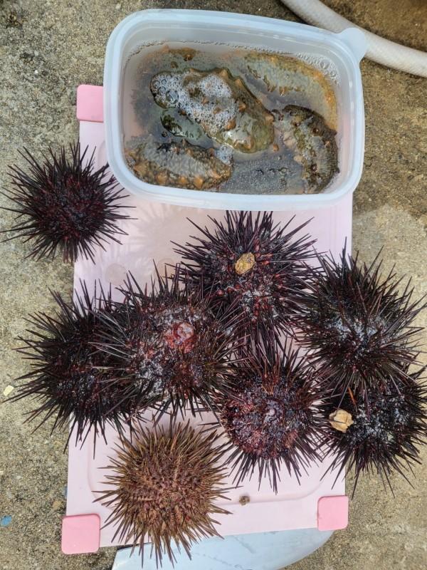숙소 시설