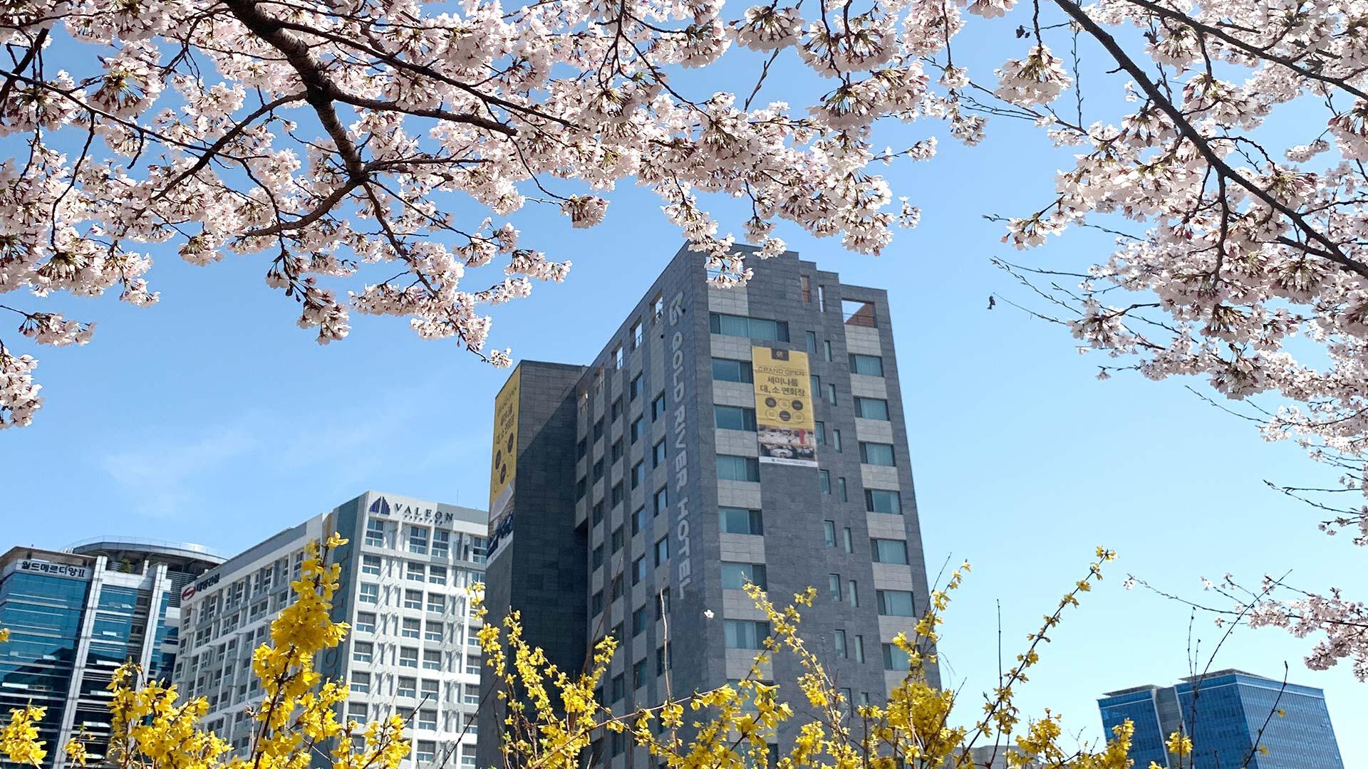 전경