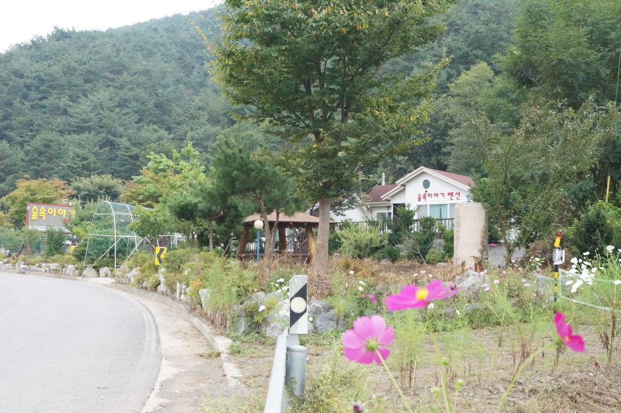 숙소 외관
