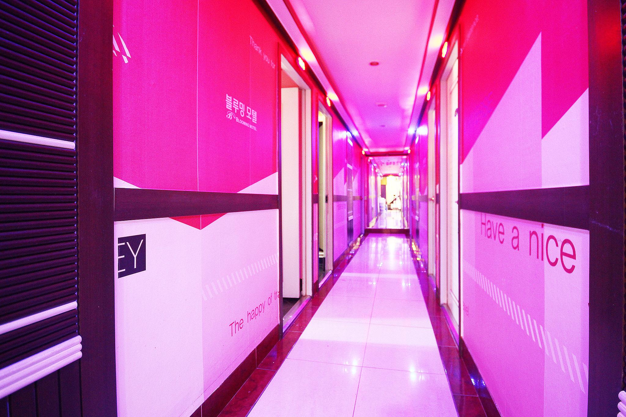 Busan Suyeong Blooming-3