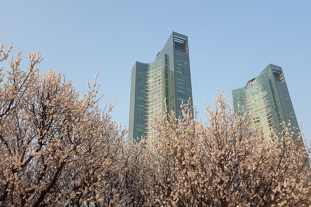 Seoul Forest Stay-80