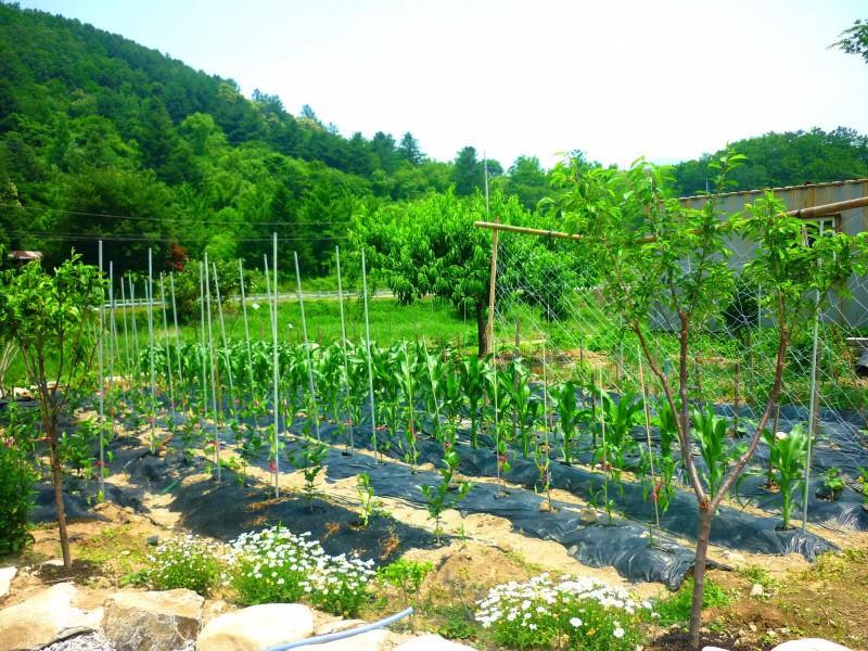 숙소 시설