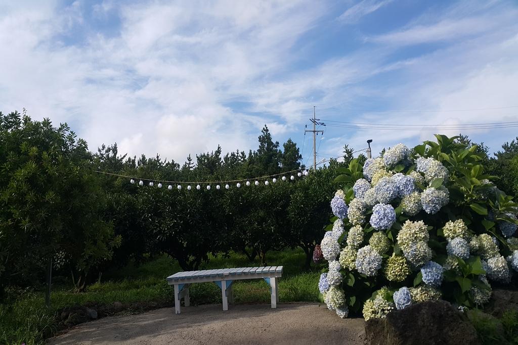 숙소 외관