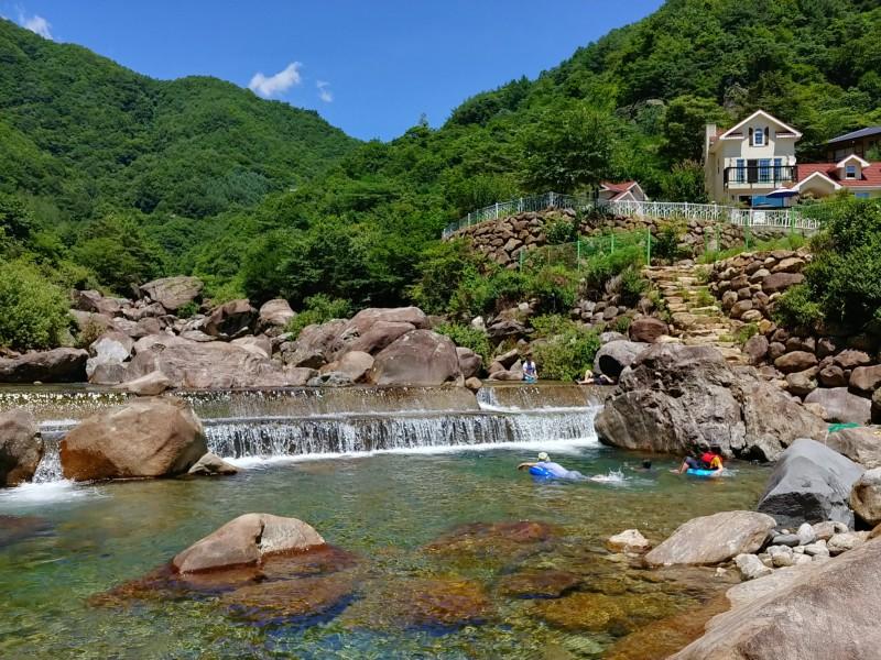 대표 사진
