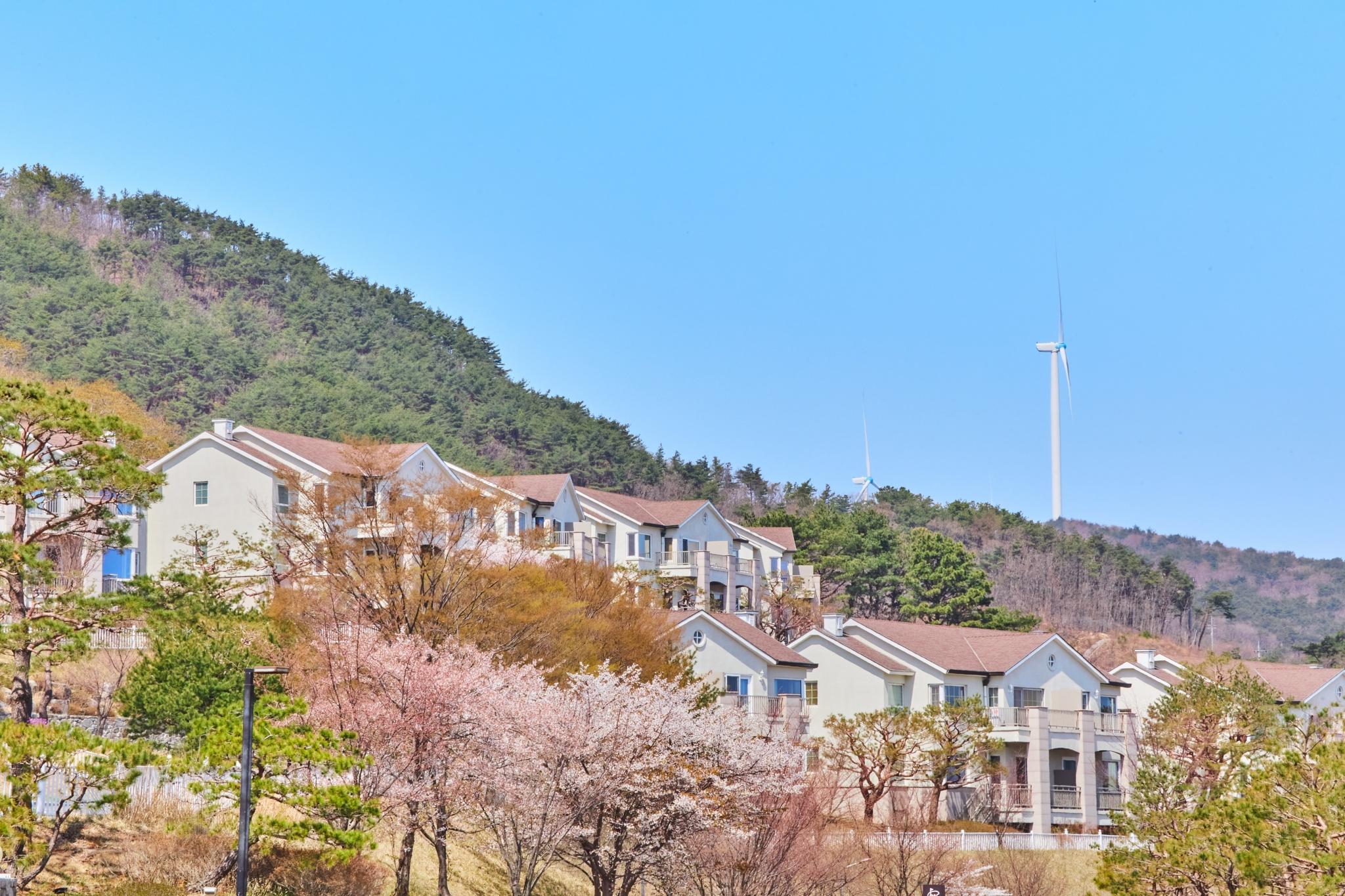 대표 사진