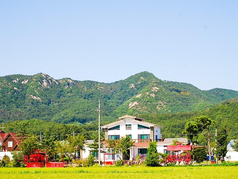 Ganghwado Macha Pension-11