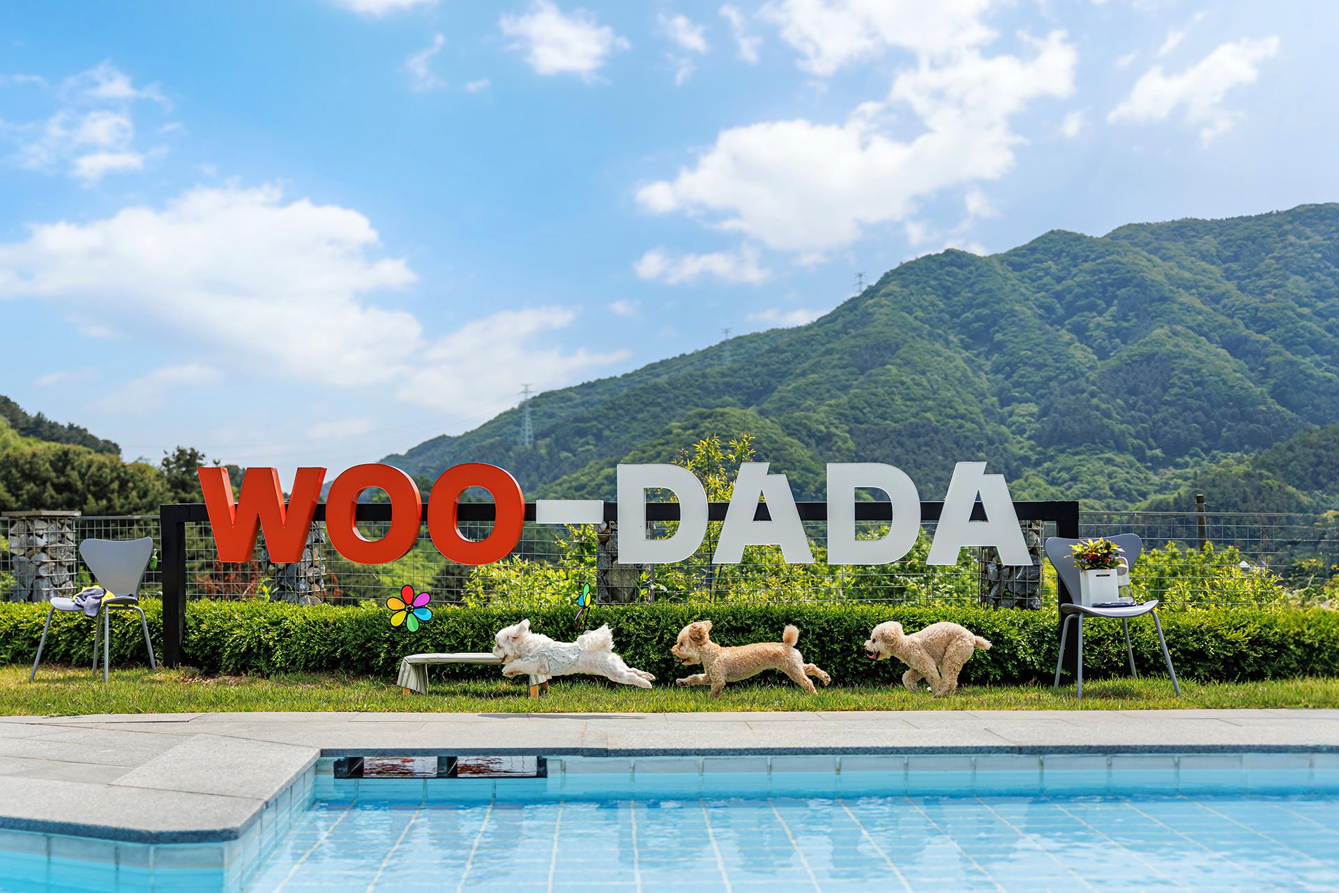 Gapyeong Udada Dog Pension