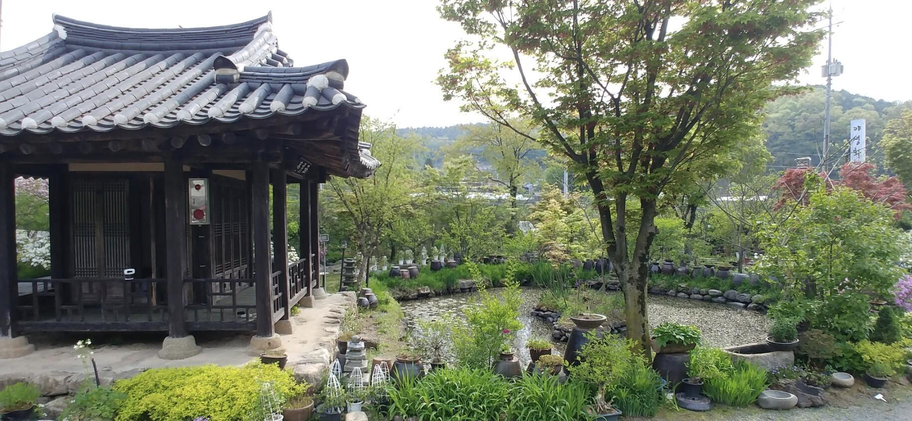 Chungju Real flowers and Taeknadeuli Pension-5