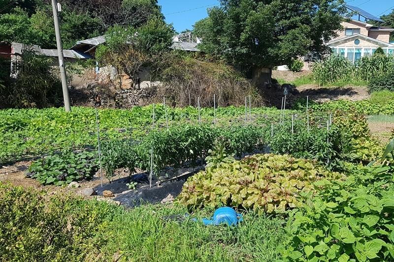 Daebudo (Yeongheungdo) Rural Marubang Pension-15